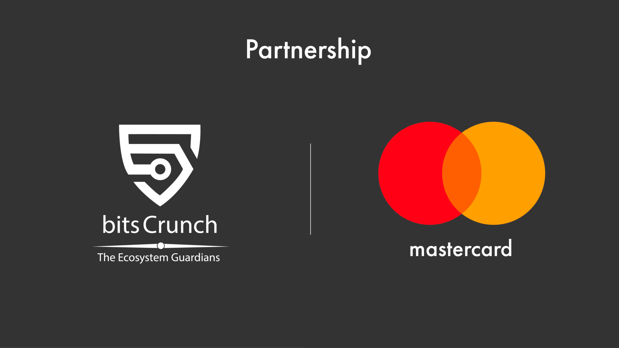 bitsCrunch partnership with Mastercard